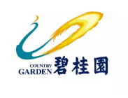 肥东碧桂园地产